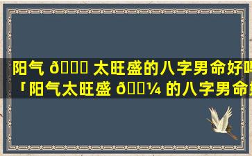 阳气 🐋 太旺盛的八字男命好吗「阳气太旺盛 🌼 的八字男命好吗还是女命」